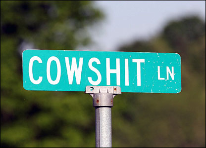 Cowshit+Lane.jpg