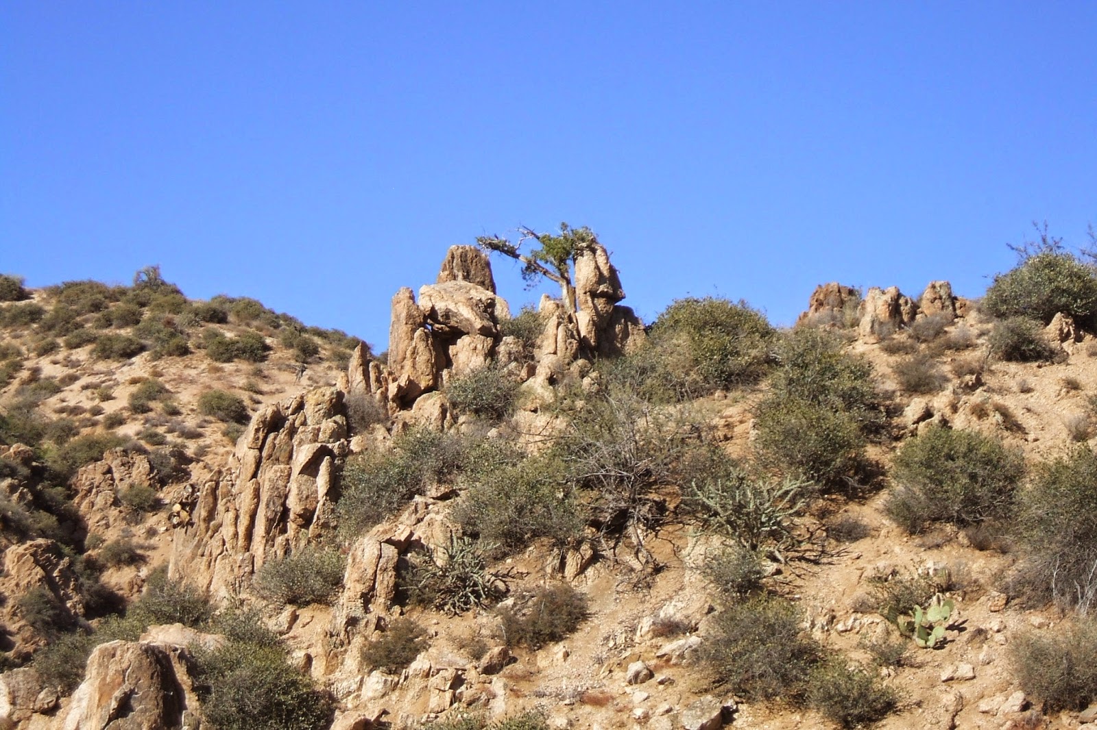Hiking Camp Creek Falls, Tonto National Forest, Arizona