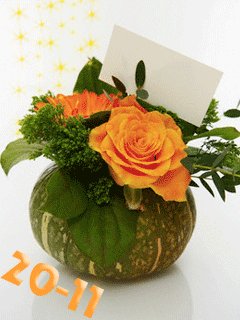 hinh nen ngay nha giao viet nam