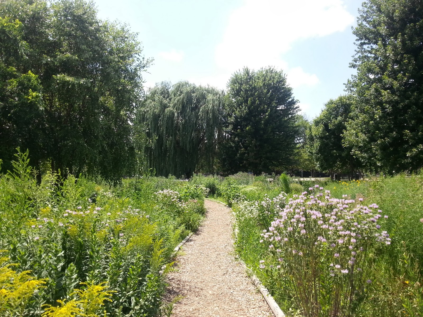 The Chicago Real Estate Local NEW FOR SALE Big and beautiful