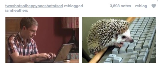 hedge.tiff