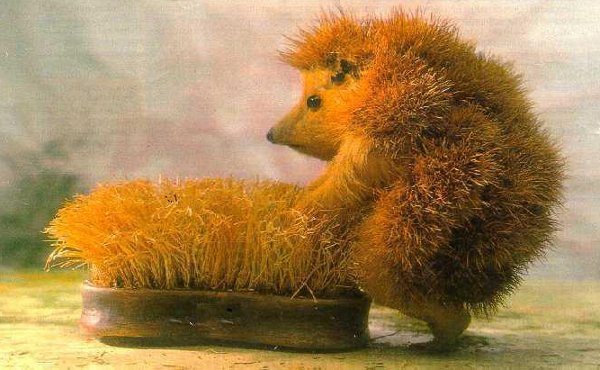 hedgehog-humping-a-brush.jpg