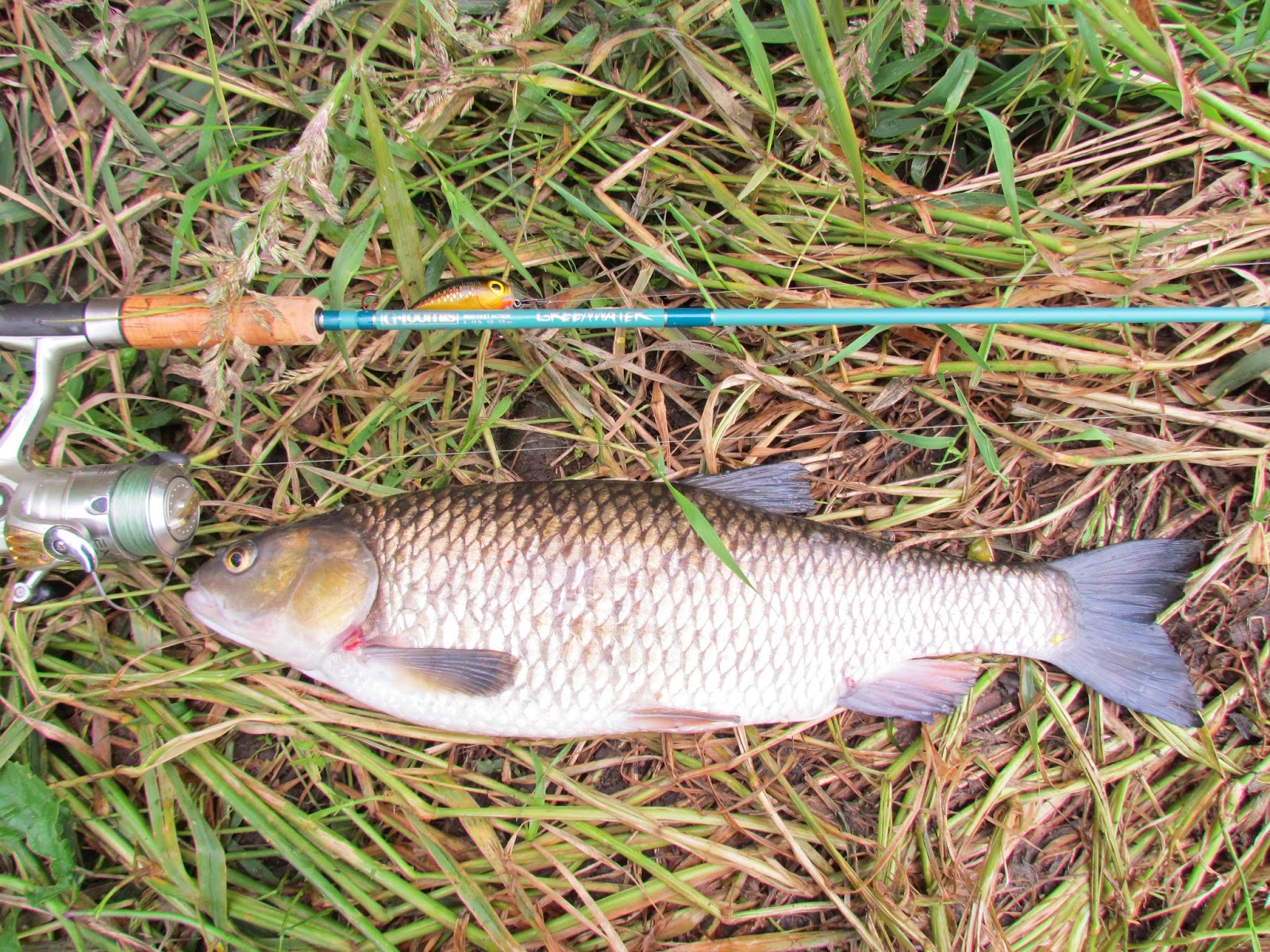 Finesse Fishing G Loomis Greenwater Series