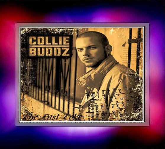 collie buddz wife collie buddz wife