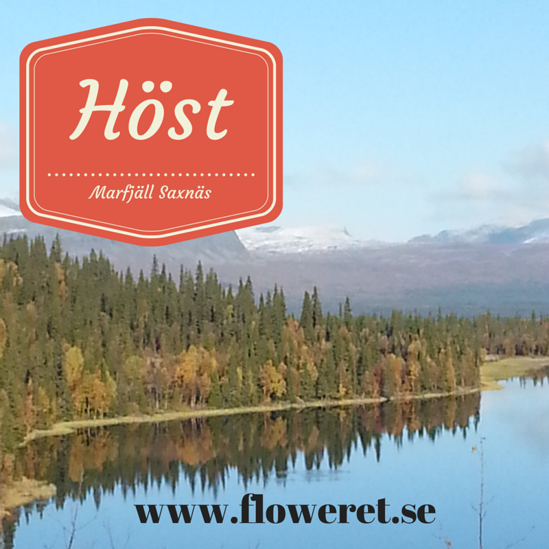 En vanlig höstdag i Marsfjäll Saxnäs H%C3%B6ststart