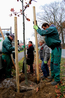 11 2012 Baumpflanzung Birkholzaue+(8)+(2)