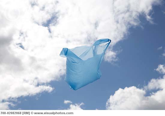 Plastic Bags Floating