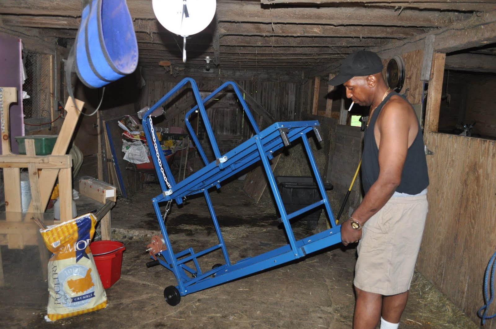Mainely Ewes Farm Sydell Goat/Sheep Stand