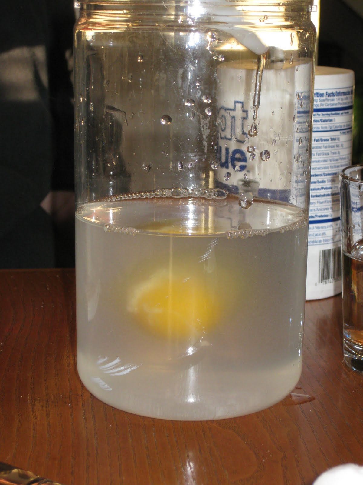 Connor's Curiosities The Magic Floating Egg