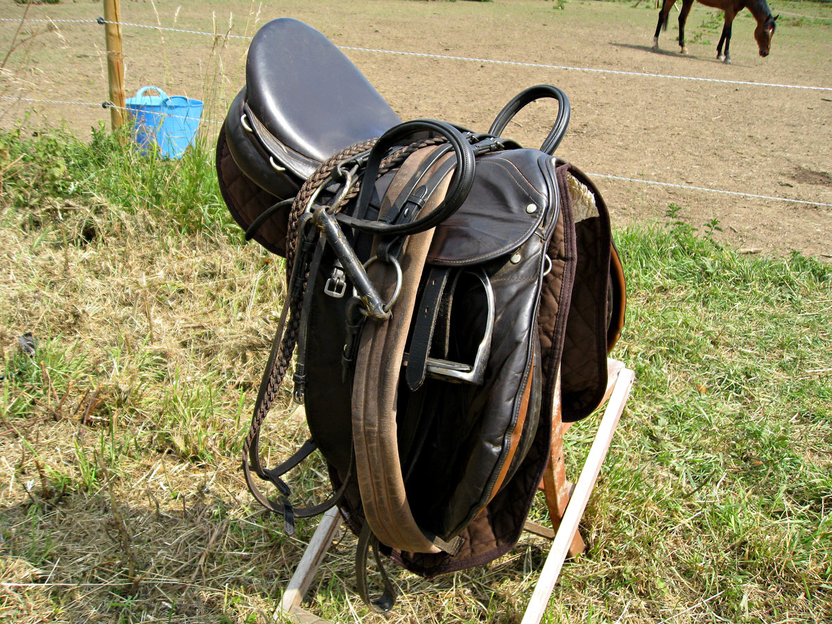 My Equestrian World The Joys and Horrors of Tack Cleaning