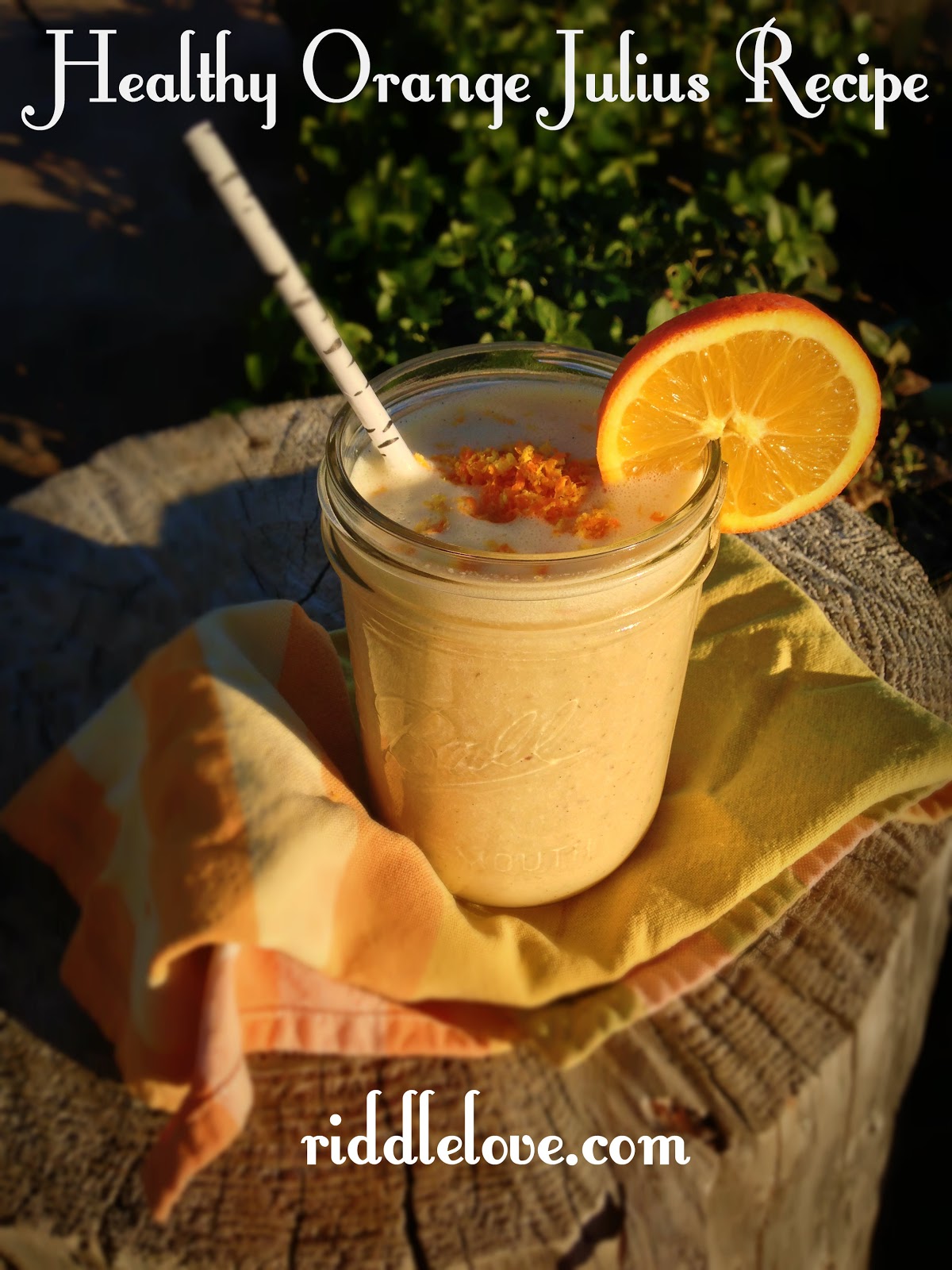 riddlelove Healthy Orange Julius A Smoothie Recipe