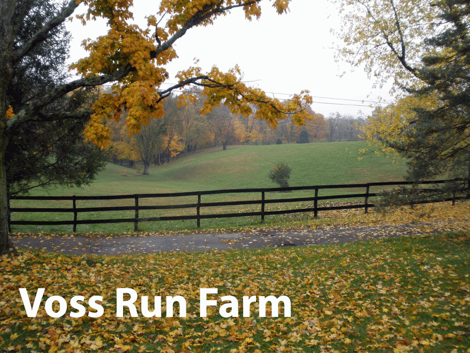 Voss Run Farm