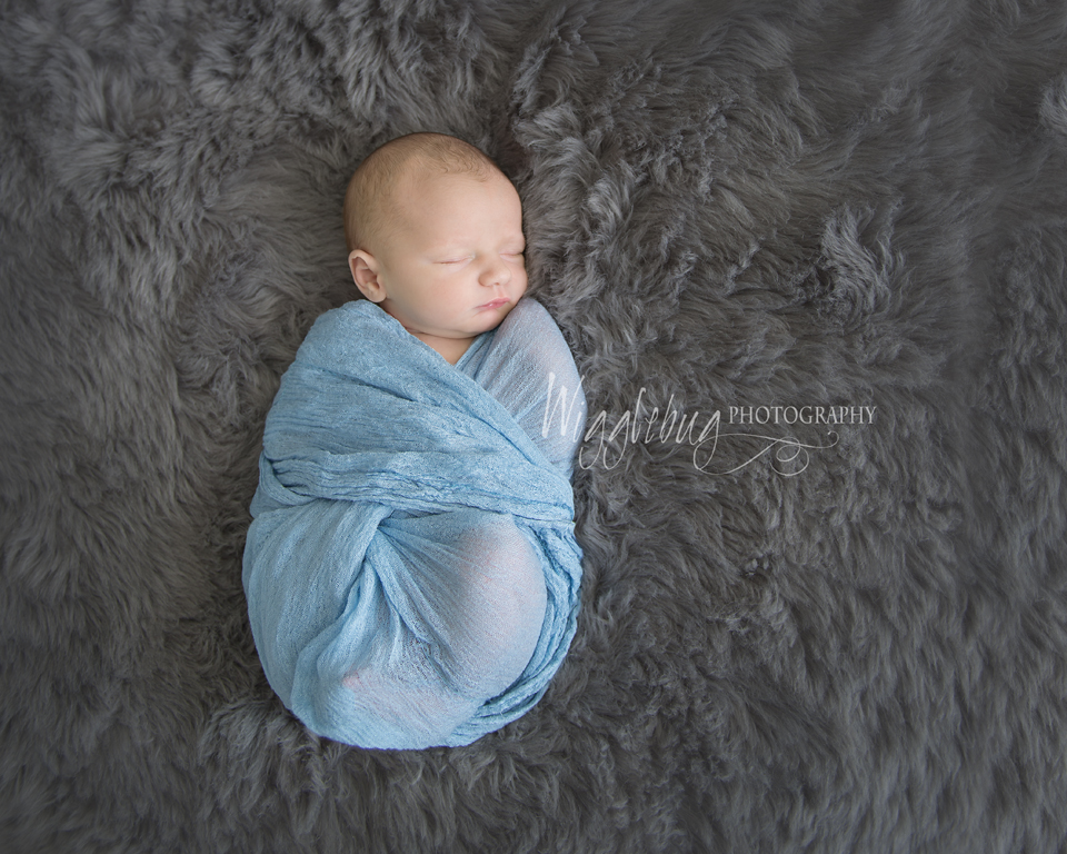 Newborn Portraits Professional Photographer near Geneva, IL