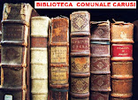 BIBLIOTECA COMUNALE