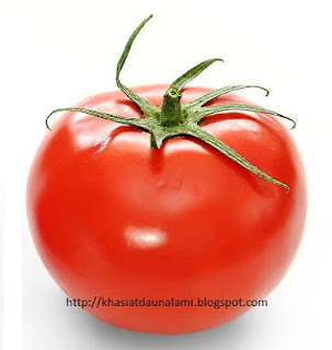 khasiat buah tomat