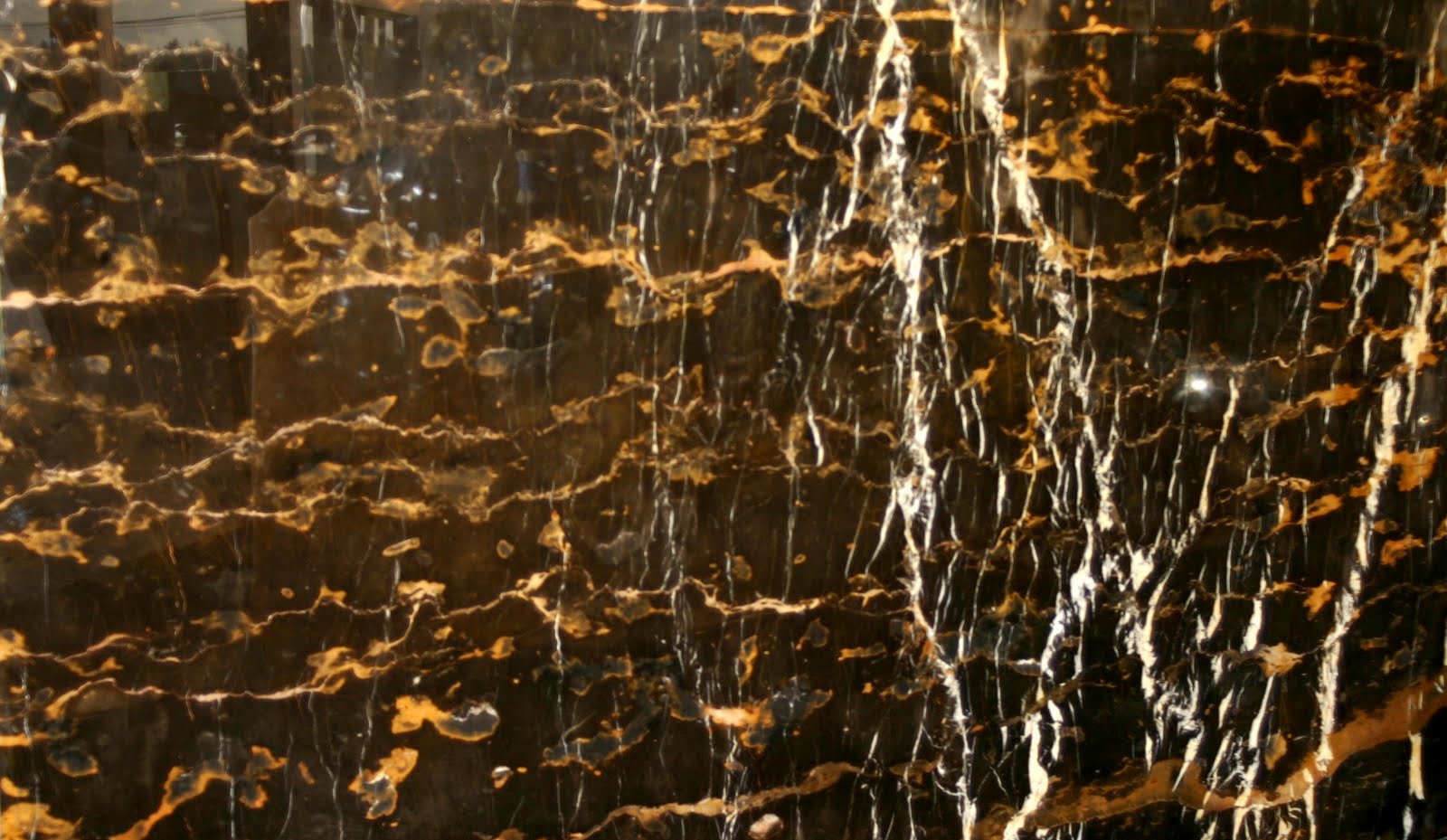 CROCODILE ROCKS Michelangelo Black & Gold Marble