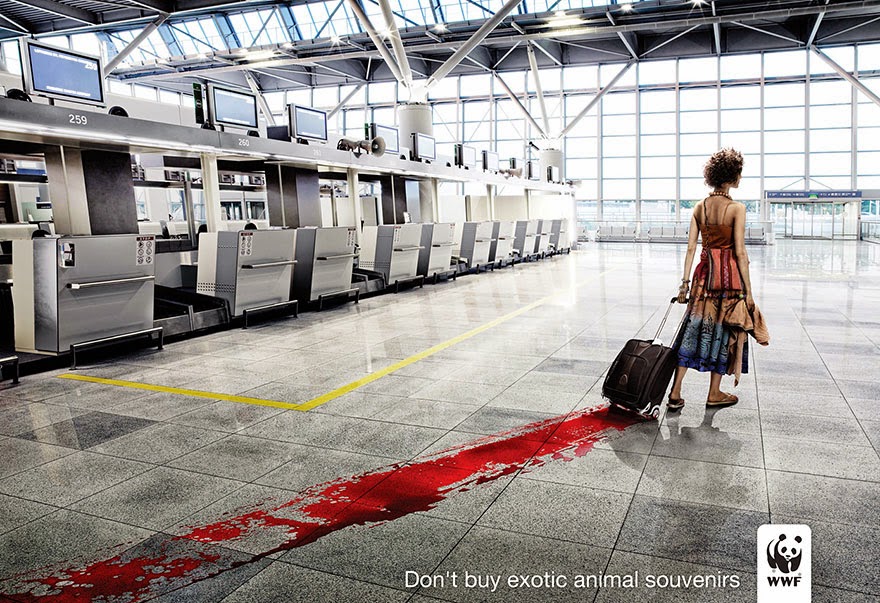 Don’t Buy Exotic Animal Souvenirs - 33 Powerful Animal Ad Campaigns That Tell The Uncomfortable Truth Don’t Buy Exotic Animal Souvenirs - 33 Powerful Animal Ad Campaigns That Tell The Uncomfortable Truth