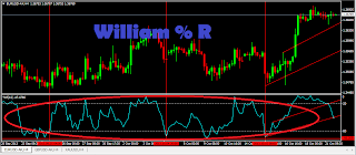 Simple trading with William Percent 