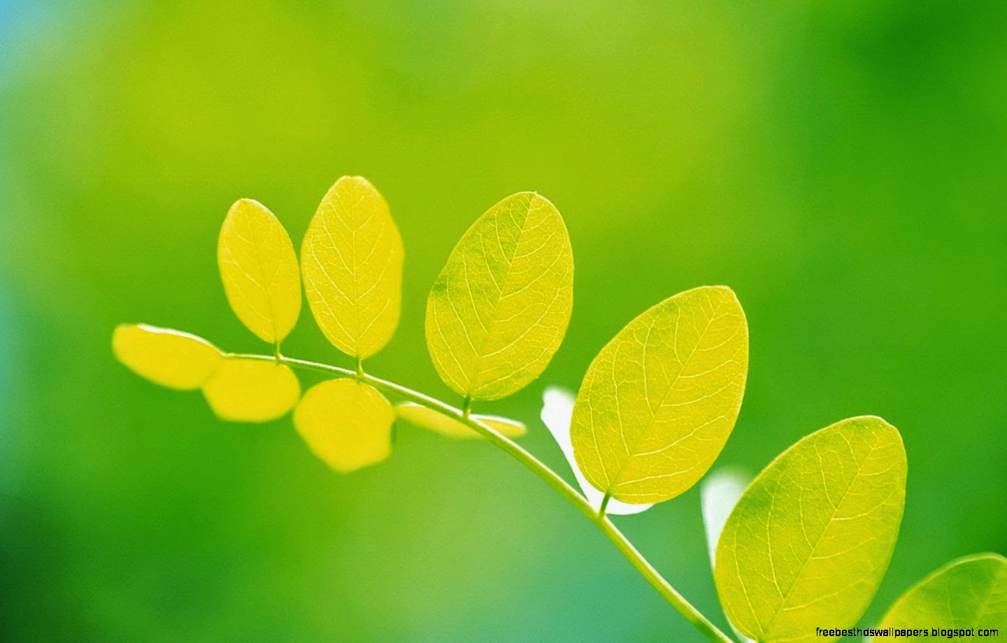 Desktop Computer Wallpaper Free 7026240 Desktop Computer Wallpaper Free 7026240