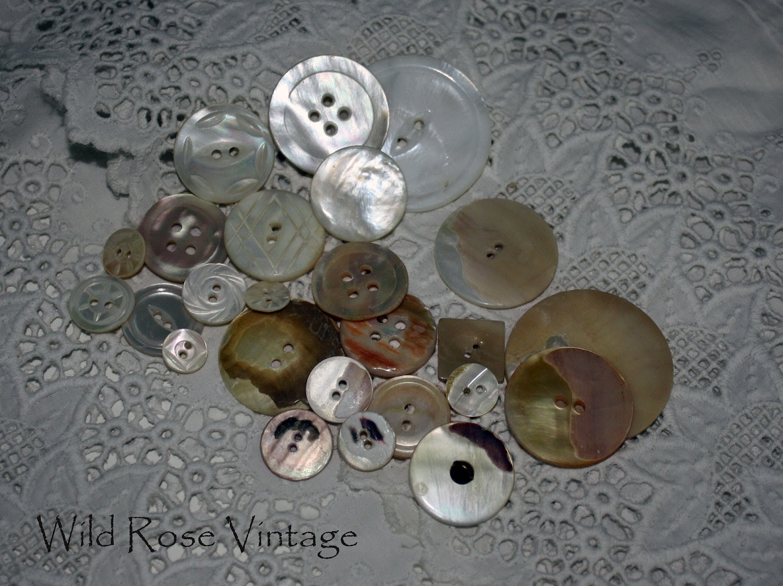 Bella Rosa Antiques Mother of Pearl Buttons Shell Shocking History
