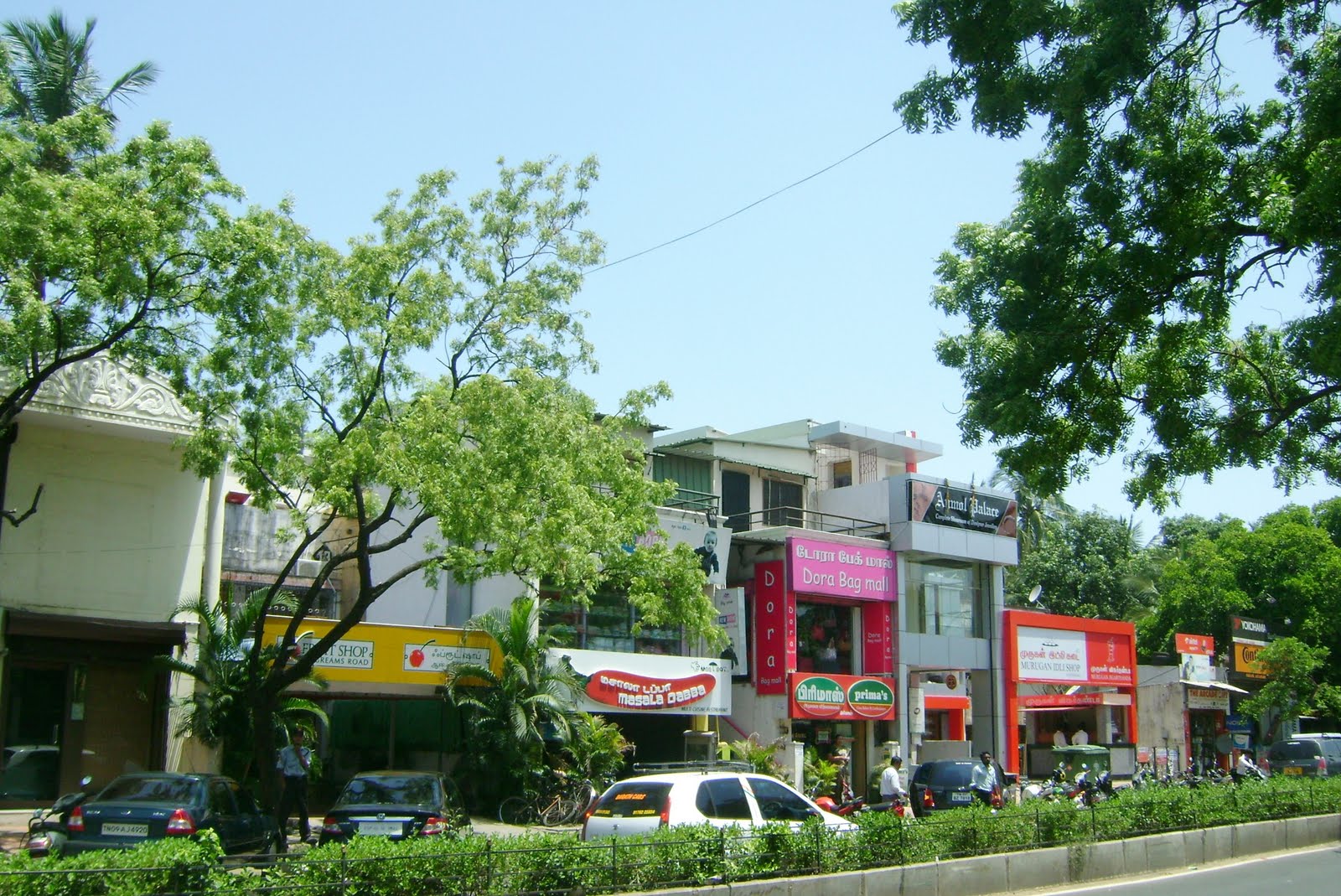 Anna Nagar Daily 06/29/11