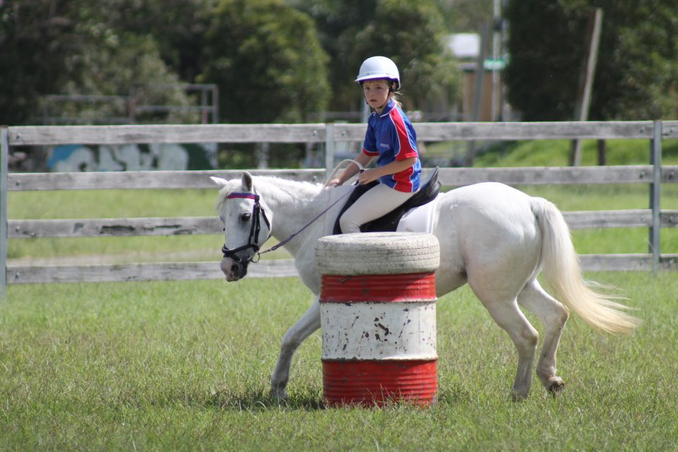 cushings looks managing horses intervention complete