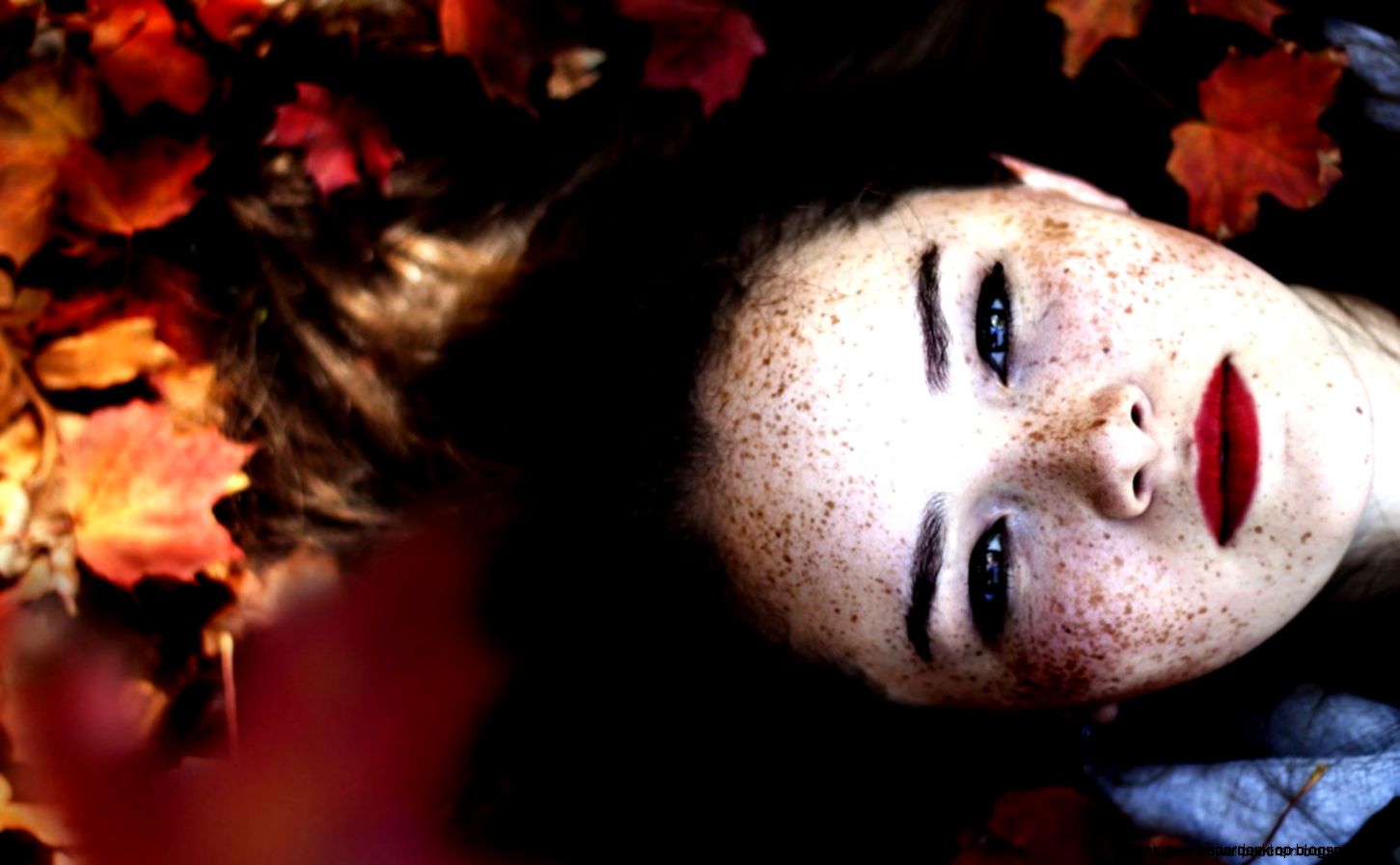 Girl Freckles Hd Wallpaper Best Desktop Wallpapers Girl Freckles Hd Wallpaper Best Desktop Wallpapers
