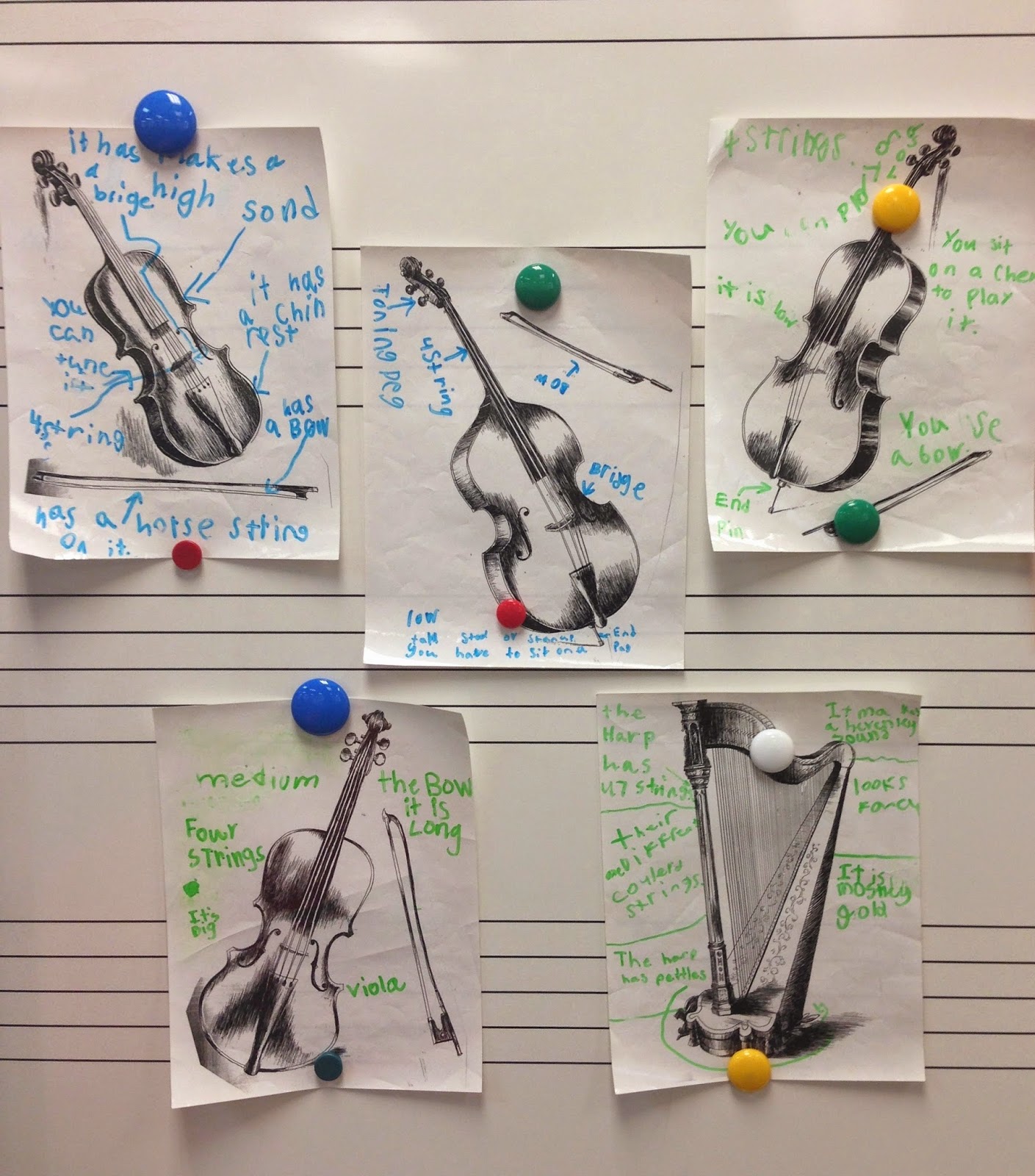 Types of stringed instruments in an orchestra labelLasi