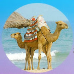 Camel Tour!