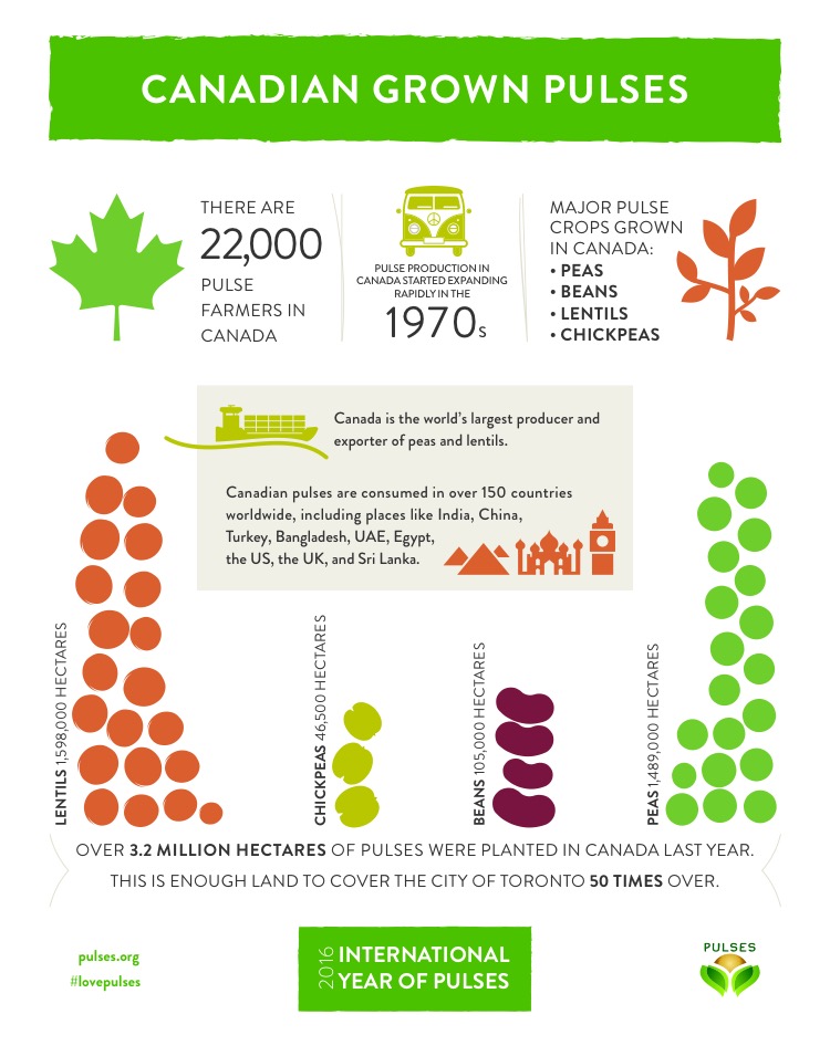 International Year of Pulses Pulse Tacos Recipe