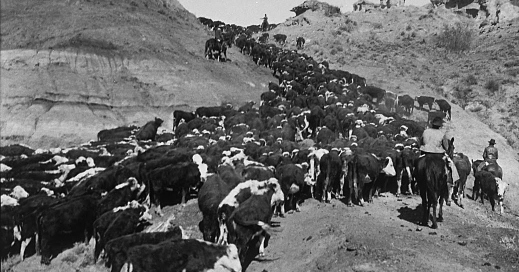 Montana Moments Cattle Drives