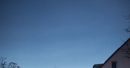 Gartenblog zu Gartenplanung, Gartendesign und Gartengestaltung