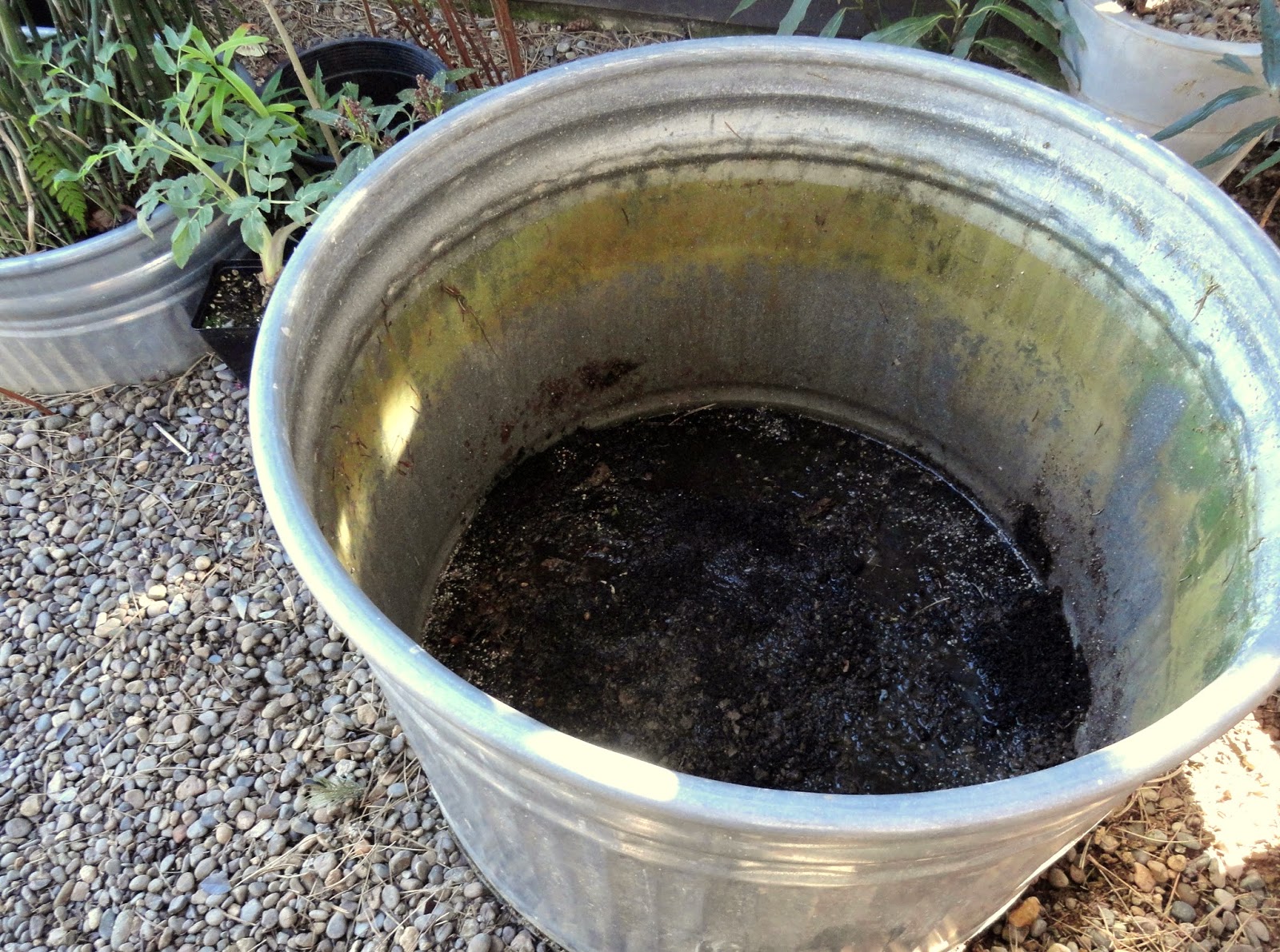 danger garden April 2014