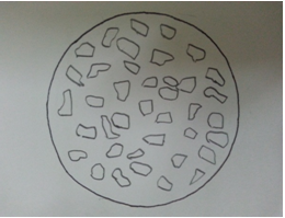 particle size and shape