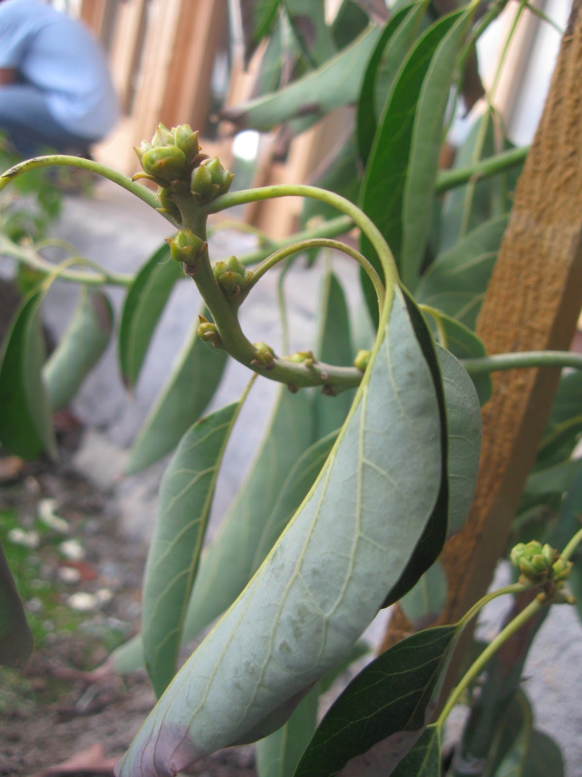 The Freeville Earthship April 2013