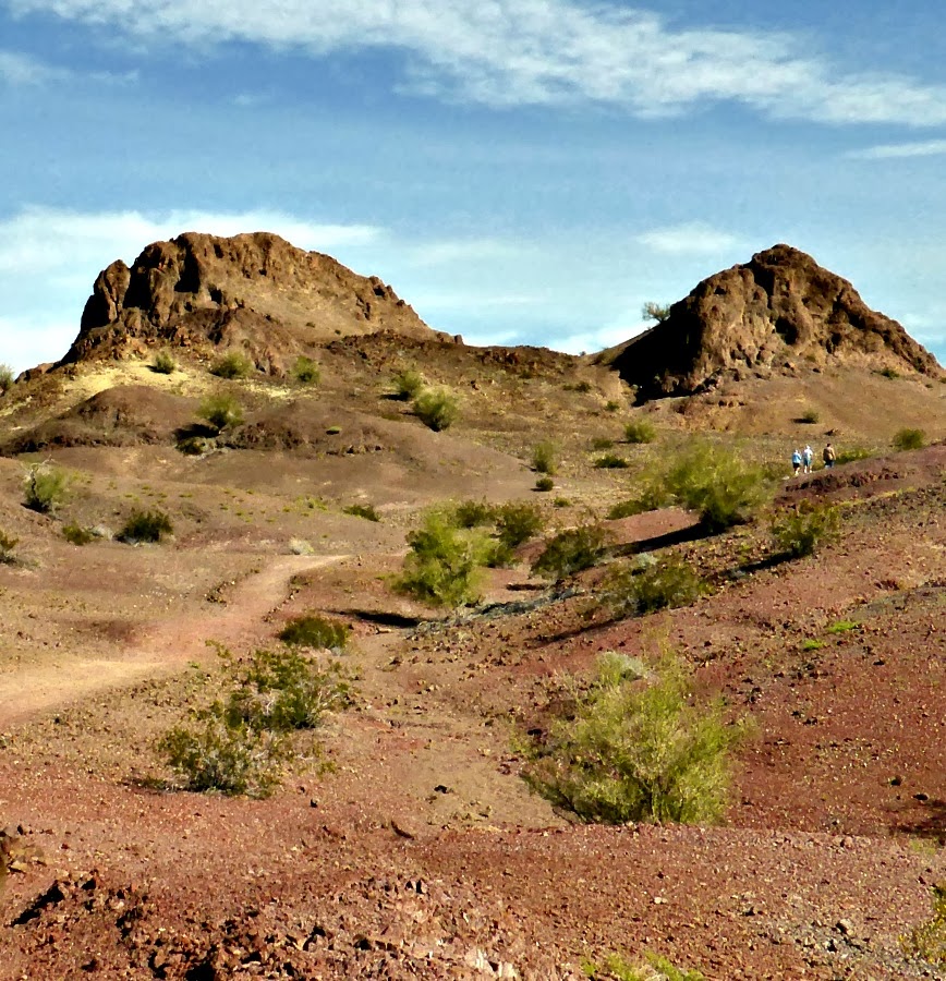 The Accidental RVers Hiking the Desert Around Yuma, Arizona