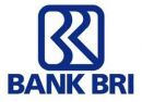 http://rekrutkerja.blogspot.com/2012/05/bank-bri-staff-development-program-may.html