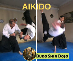 Aikido en Budoshin
