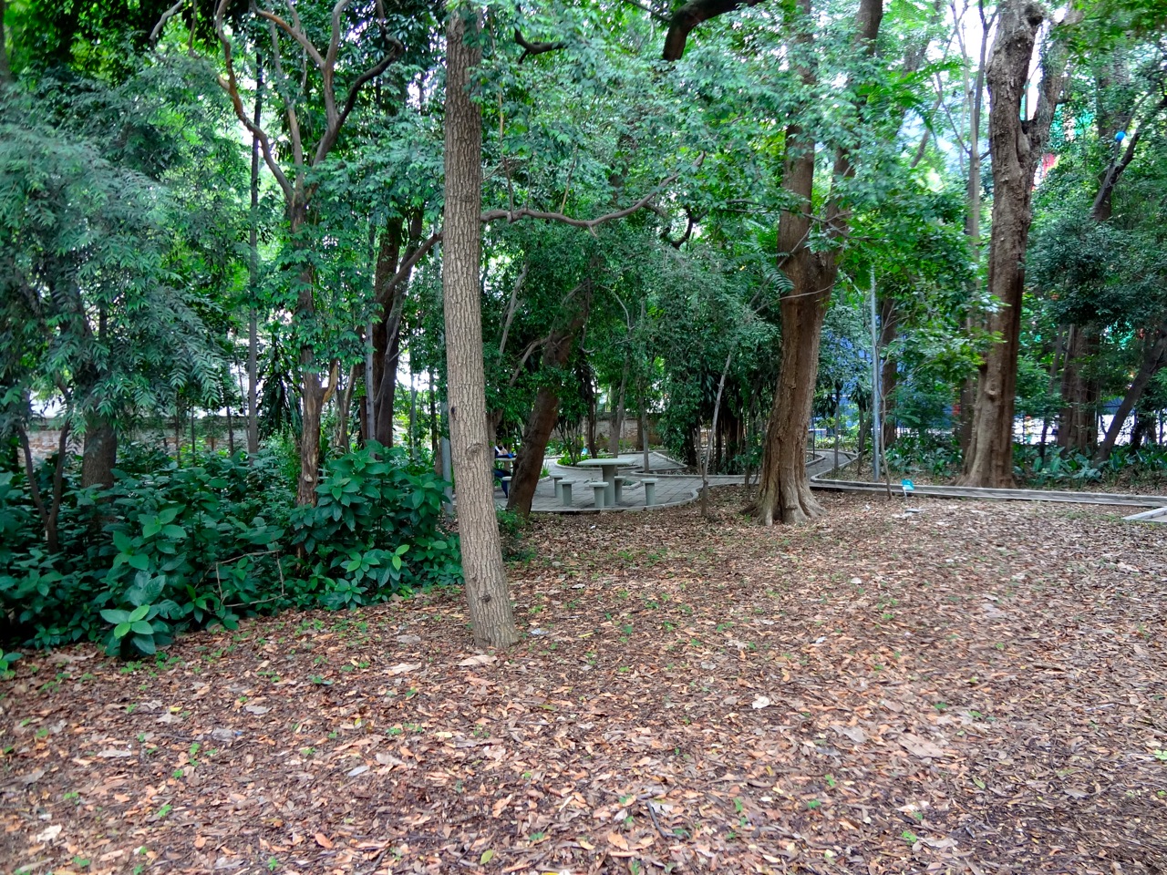 DSC00111 - Série Avenida Paulista: a Villa Fortunata e o parque. Como é o nome mesmo?