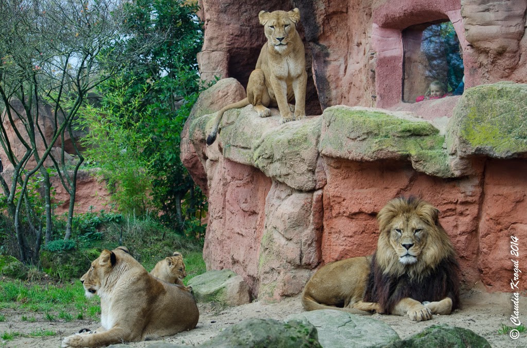 Christian Schmidt Gebt Mir Ein C Wie Christian Schmidt