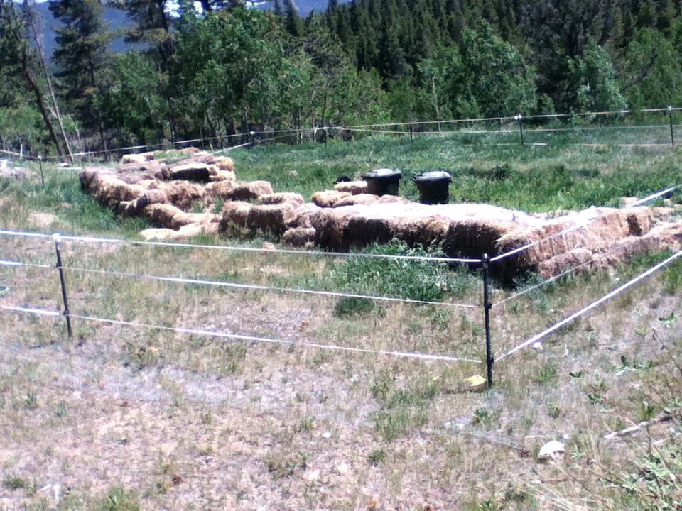 Colorado Mountain Gardener Photos of bearproof compost systems