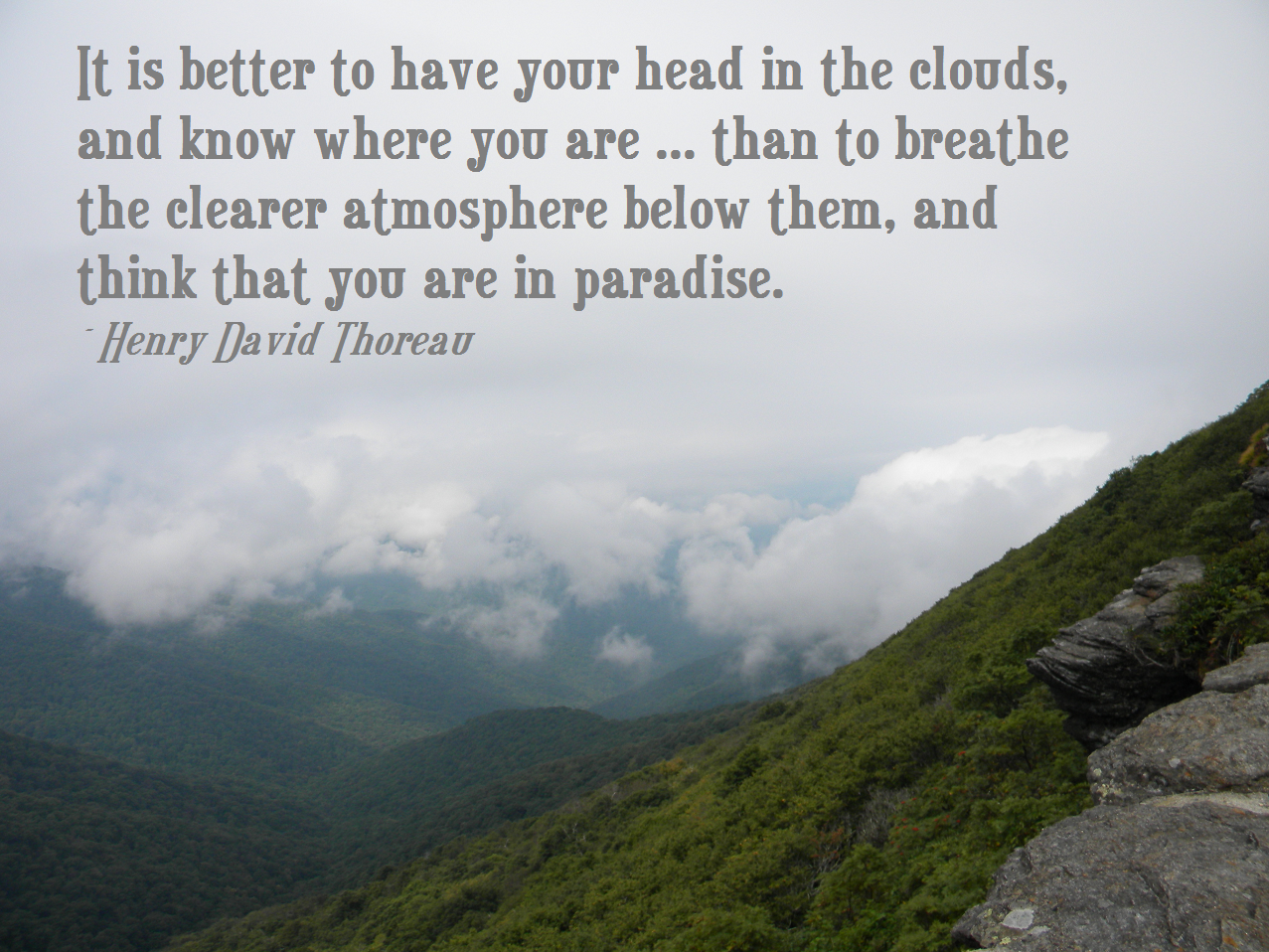 Friday Find I Found My Head in the Clouds and I Found Clarity