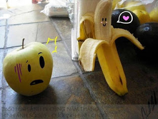 3650 hình ảnh đi cùng năm tháng (51) 3650 hình ảnh đi cùng năm tháng (51)