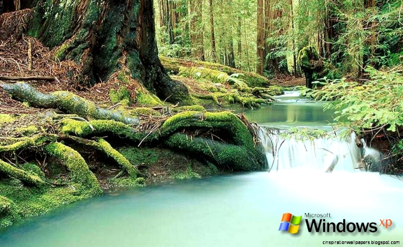 Nature Desktop Backgrounds for Windows XP Nature Desktop Backgrounds for Windows XP