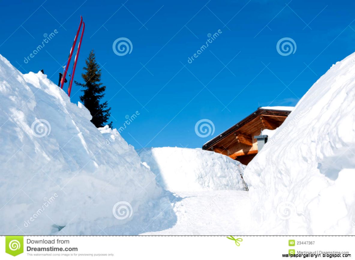 Skiing Alpine Marble Mountain Ski Resort Newfoundland 250 X 187 13