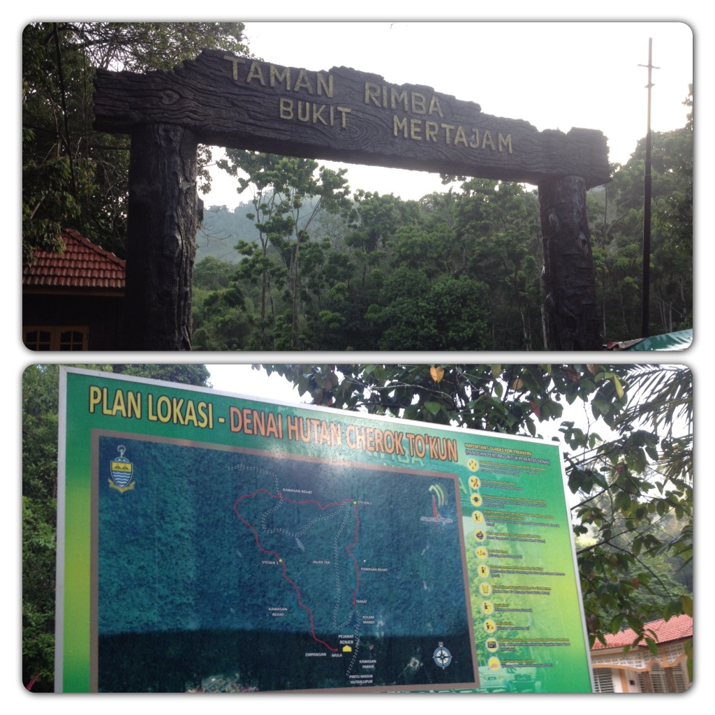 Thor's Running Journey Through Life: Bukit Mertajam Recreational Forest