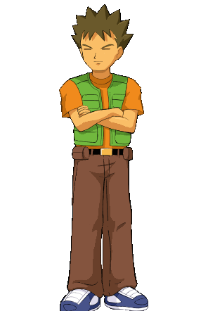 Brock Off Pokemon