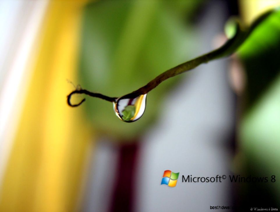 Most Beautiful Windows 8 Wallpapers 3213 Wallpaper Most Beautiful Windows 8 Wallpapers 3213 Wallpaper