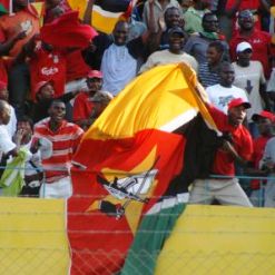 CAN-Interno: Mambas defrontam Seychelles no ENZ CAN-Interno: Mambas defrontam Seychelles no ENZ