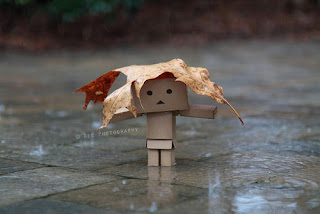 HD Alone in Rain Wallpapers, wallpaper, desktop, backgrounds, images, photos, latest, 2012,2013, free, download, awesome, amazing, hot, cool, natural, photography, photographs, black, HD, High Definition, girls, boys, lovers, broken heart
